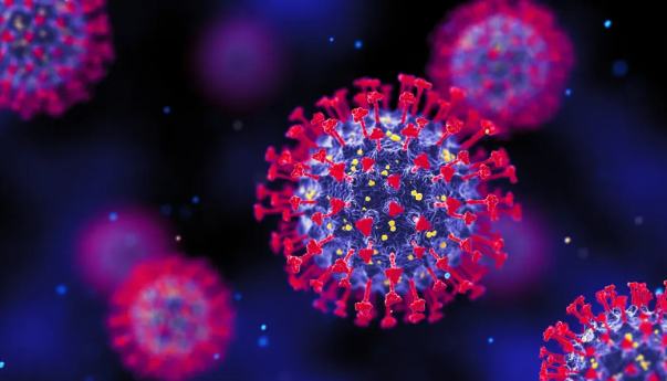 virus (2).png